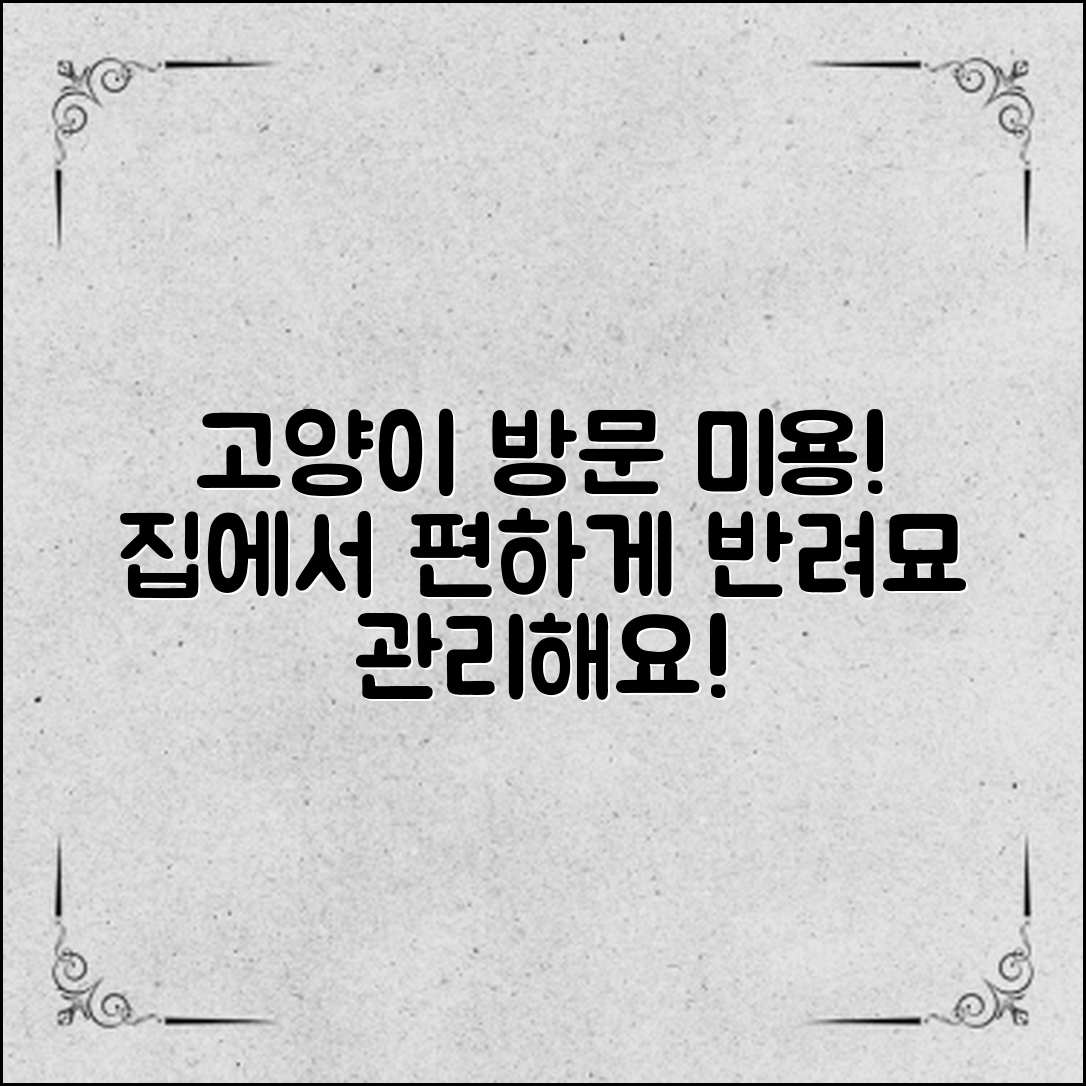 고양이방문미용, 집에서 편하게 반려묘 관리하기!