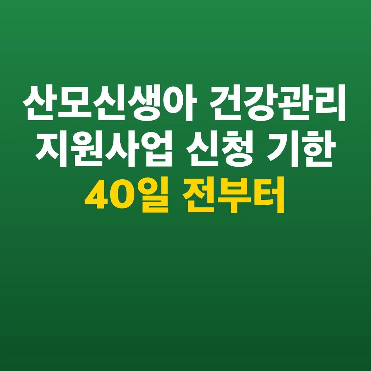 산모신생아 건강관리 지원사업 신청 기한 40일 전부터
