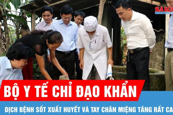 Gần 32.000 ca sốt xuất huyết, Bộ Y tế chỉ đạo khẩn - Báo Sài Gòn Giải Phóng