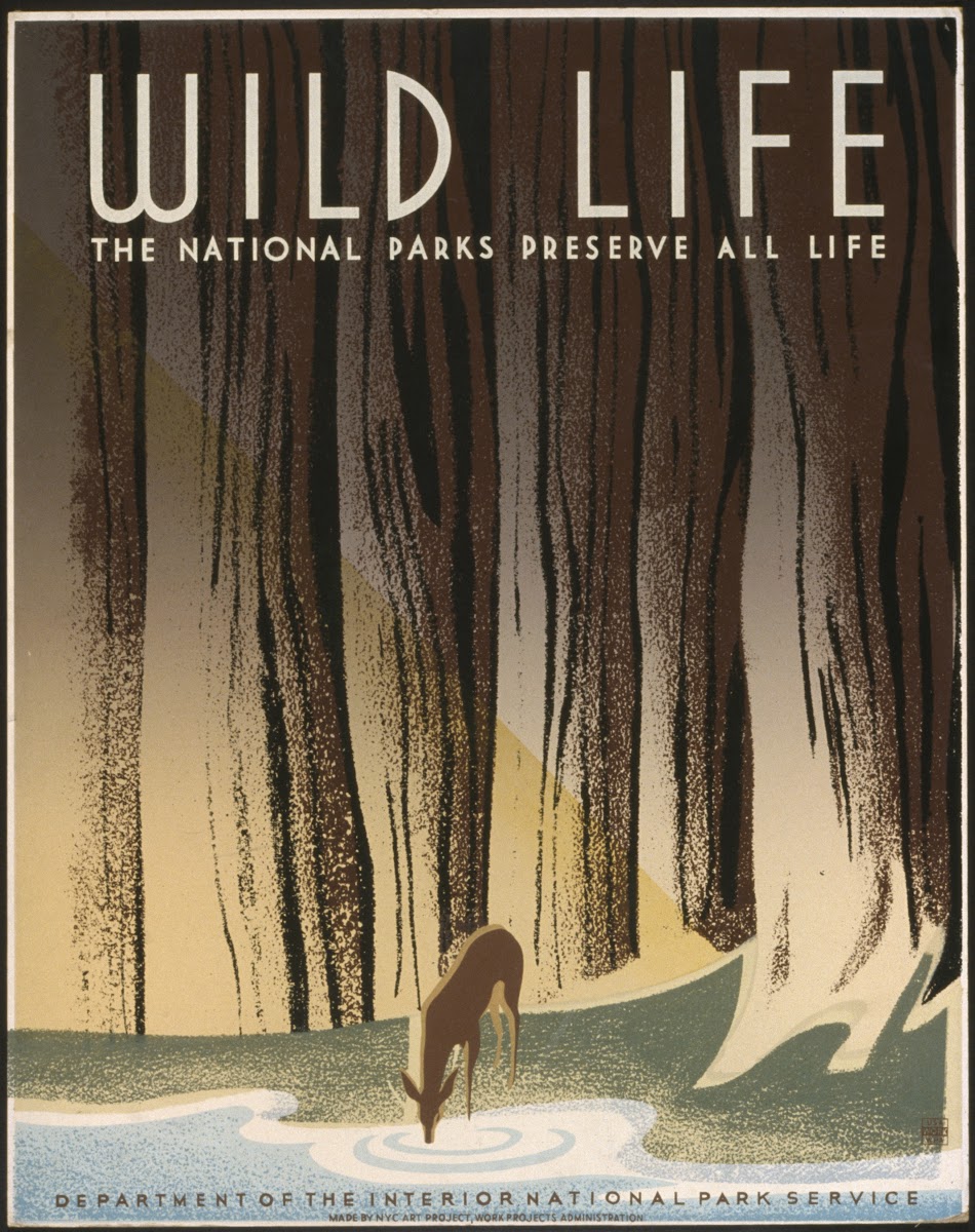 Wild life The national parks preserve all life 1936