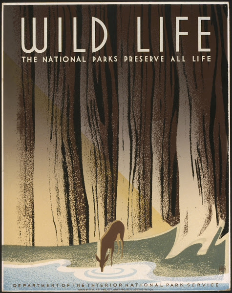 Wild life The national parks preserve all life 1936