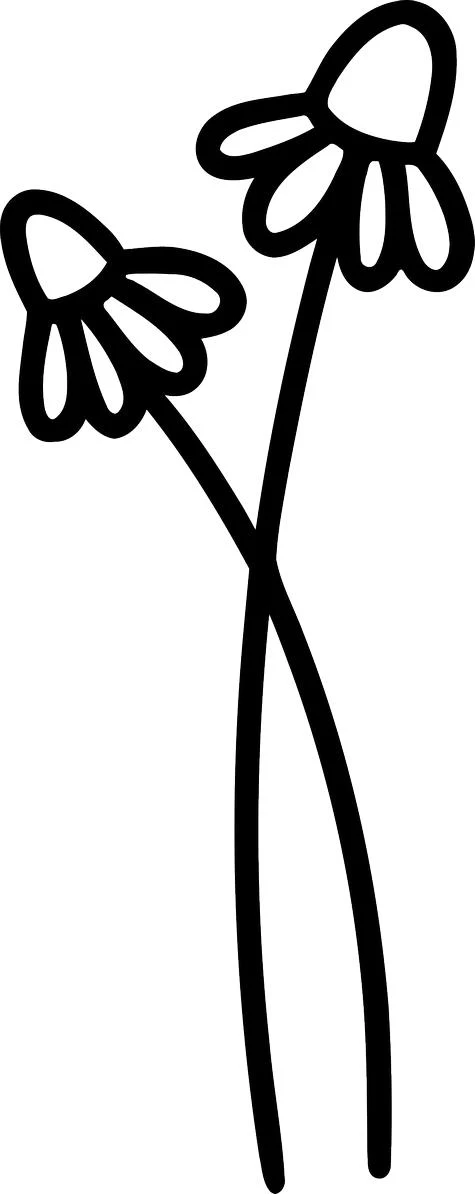 Simple black line art drawing of two boho-style wildflowers with long, crossed stems on a white background.