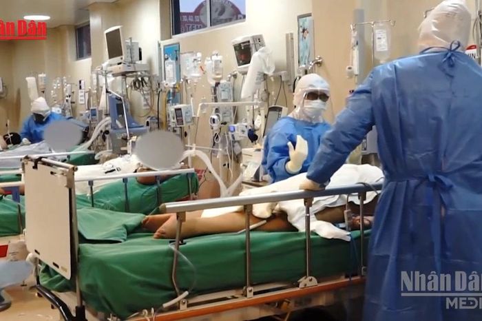 [Video] Chile: Số ca nhiễm virus Hanta gia tăng, tỷ lệ tử vong hơn 30% - Báo Nhân Dân