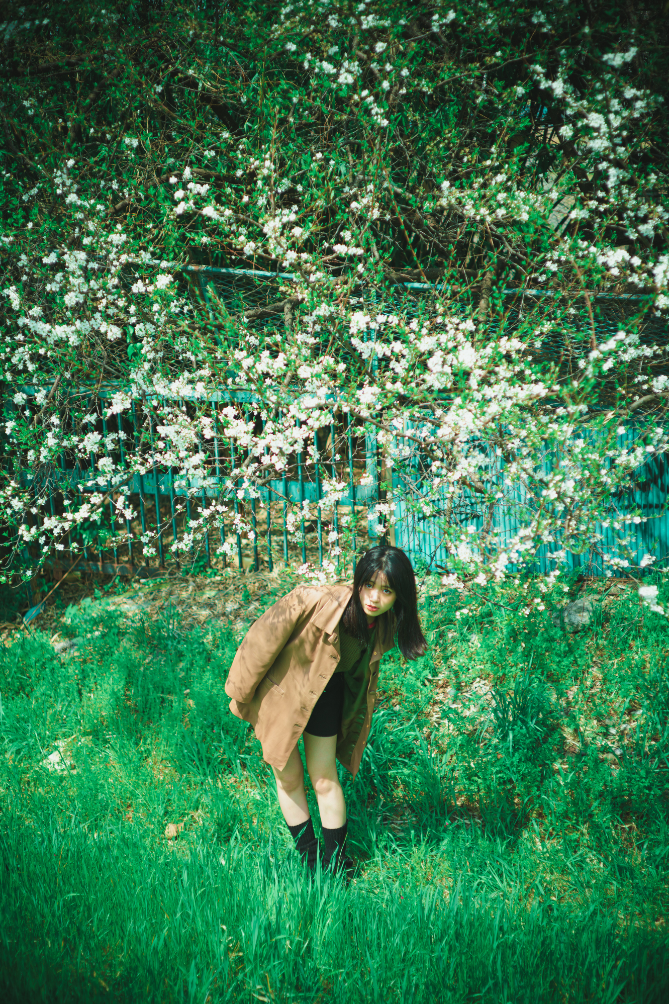 Portrait — Makino Shota