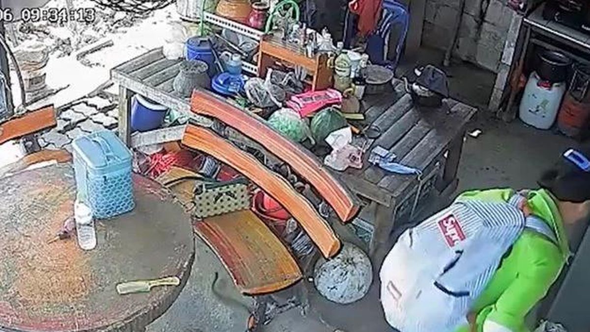 Vừa bước ra sân, người phụ nữ hoảng loạn phát hiện đang dẫm lên rắn hổ mang - Tạp chí Doanh Nghiệp Việt Nam