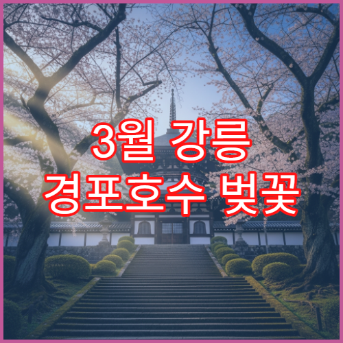 3월 강릉 경포호수 벚꽃 가족 동반 아이 놀기 좋은 존
