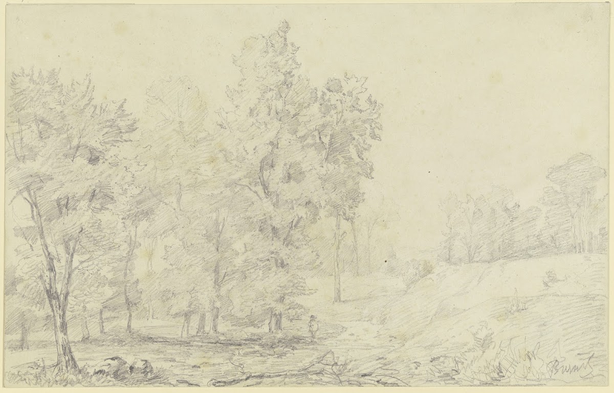 Tree landscape