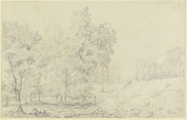 Tree landscape