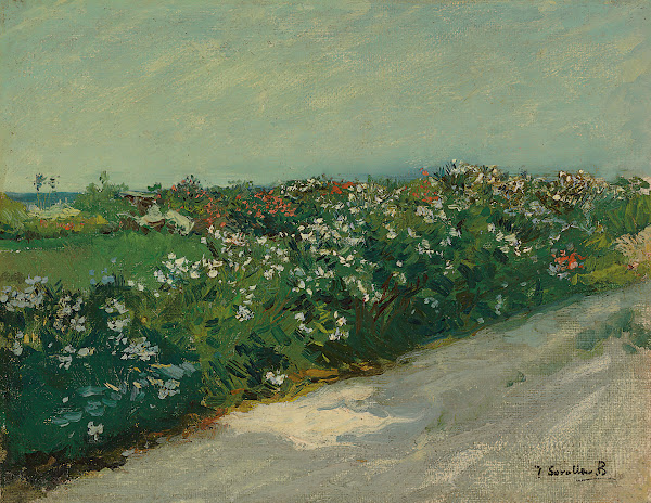 Malvarrosa