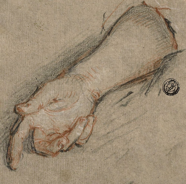 Back of Hand and Forearm