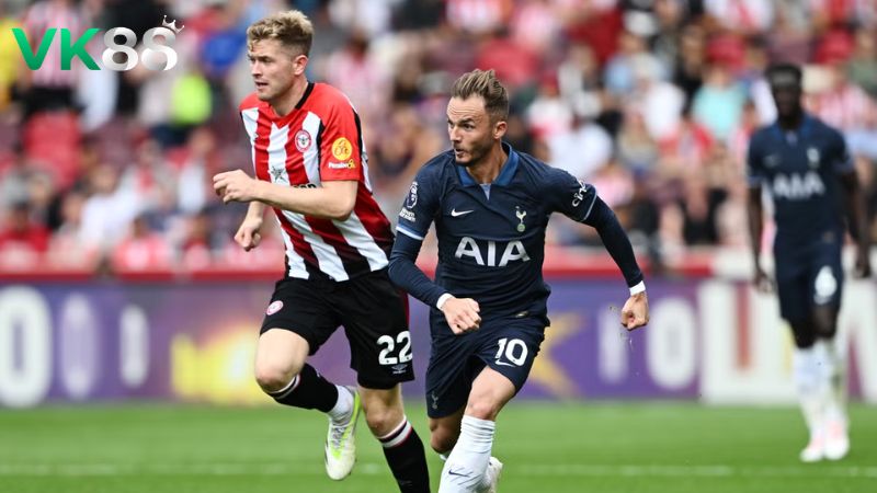 Lịch sử đối đầu Brentford vs Tottenham