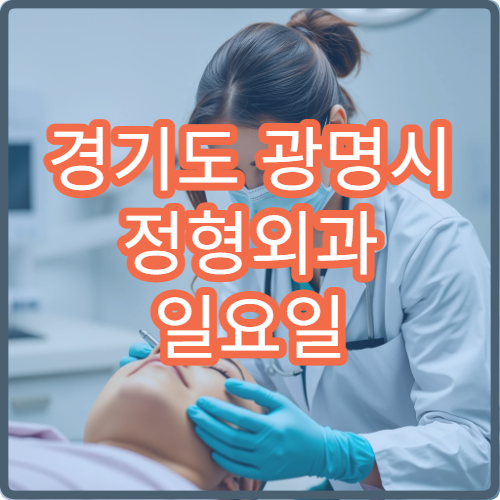 경기도 광명시 정형외과 일요일 진료 병원 일요일 관절·허리 통증 진료 가능한 곳