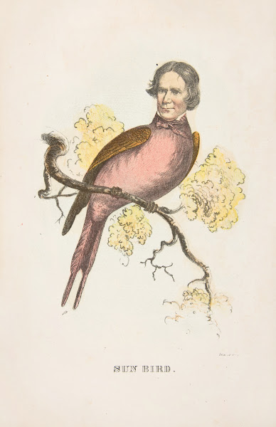 Sun Bird James S Wallace 1851