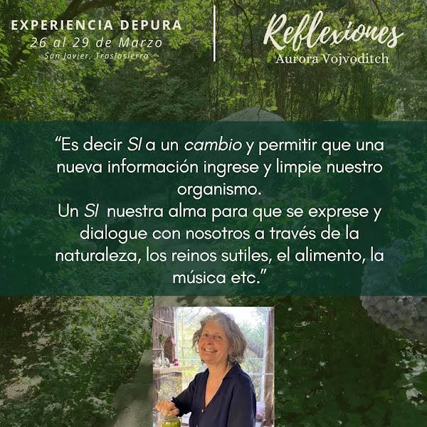 Experiencia Depura