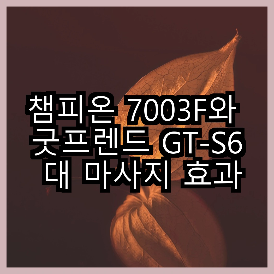 챔피온 7003F와 굿프렌드 GT-S6 대 마사지 효과의 차이, 어떤 선택이 더 매력적일까? 썸네일