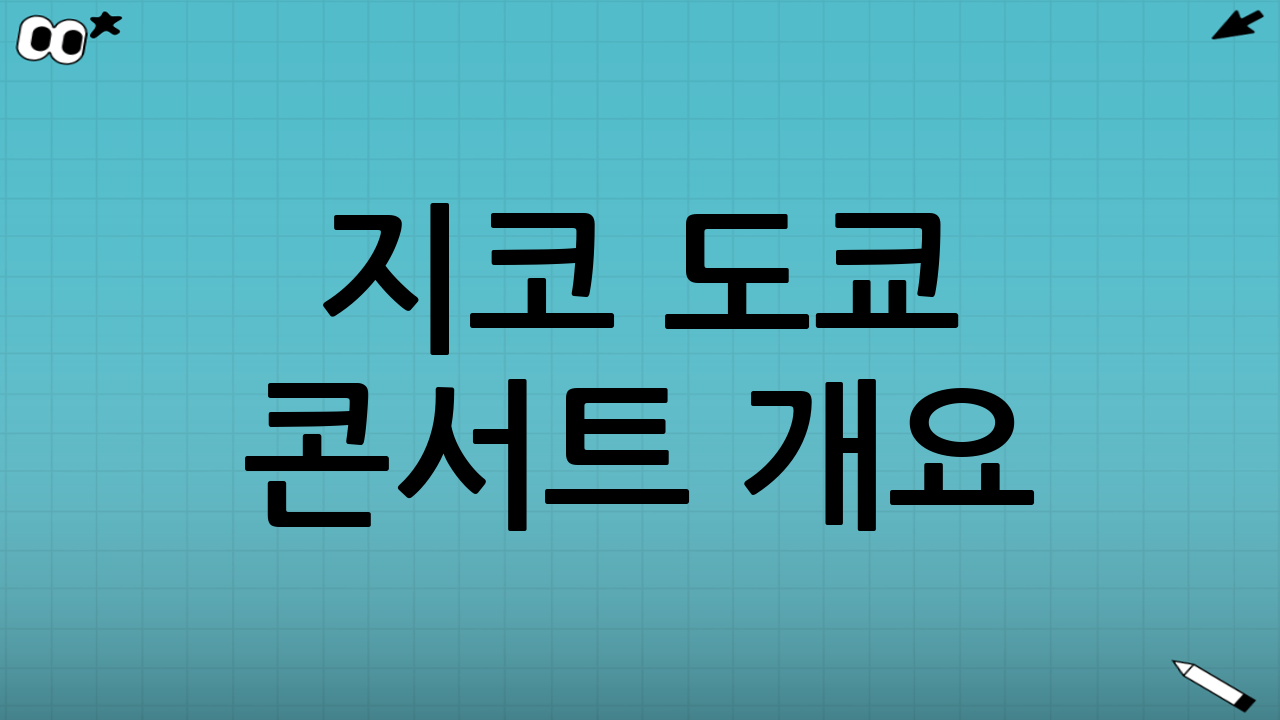 지코 도쿄 콘서트 개요