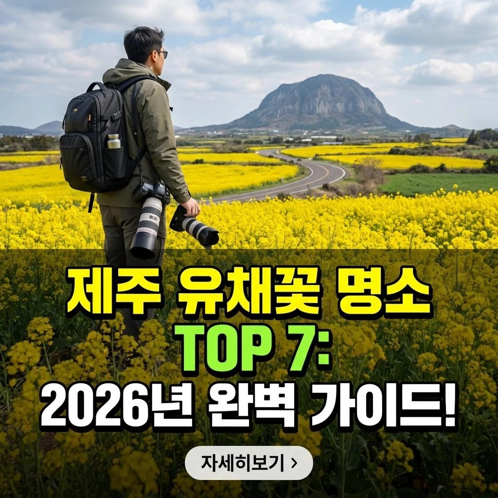 제주 유채꽃 명소 TOP 7: 2026년 완벽 가이드!