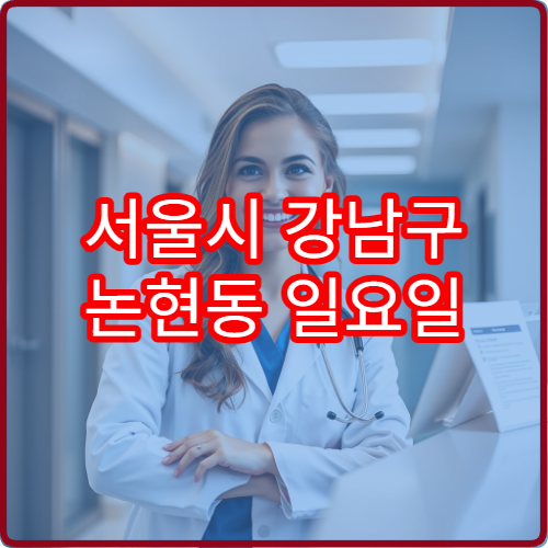 서울시 강남구 논현동 일요일 치과 주말 응급 진료 가능