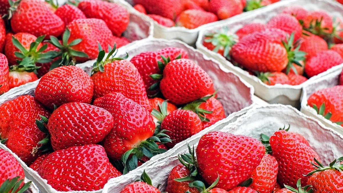 운동화 브랜드별 쿠폰 활용법과 할인 시즌별 가격 비교