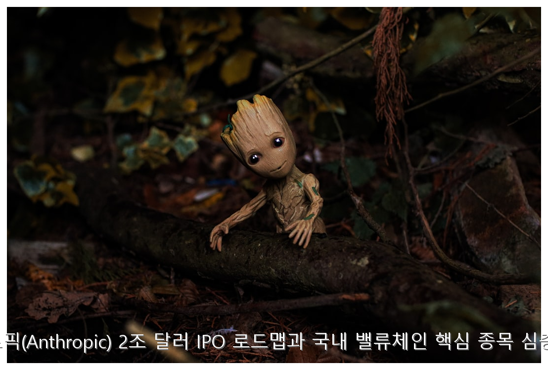 앤트로픽(Anthropic) 2조 달러 IPO 로드맵과 국내 밸류체인 핵심 종목 심층 분석 핵심 안내 및 분석 인포그래픽 (2)