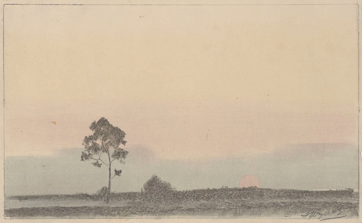 Landscape with a lonely pine tree at sunset 1919   1920