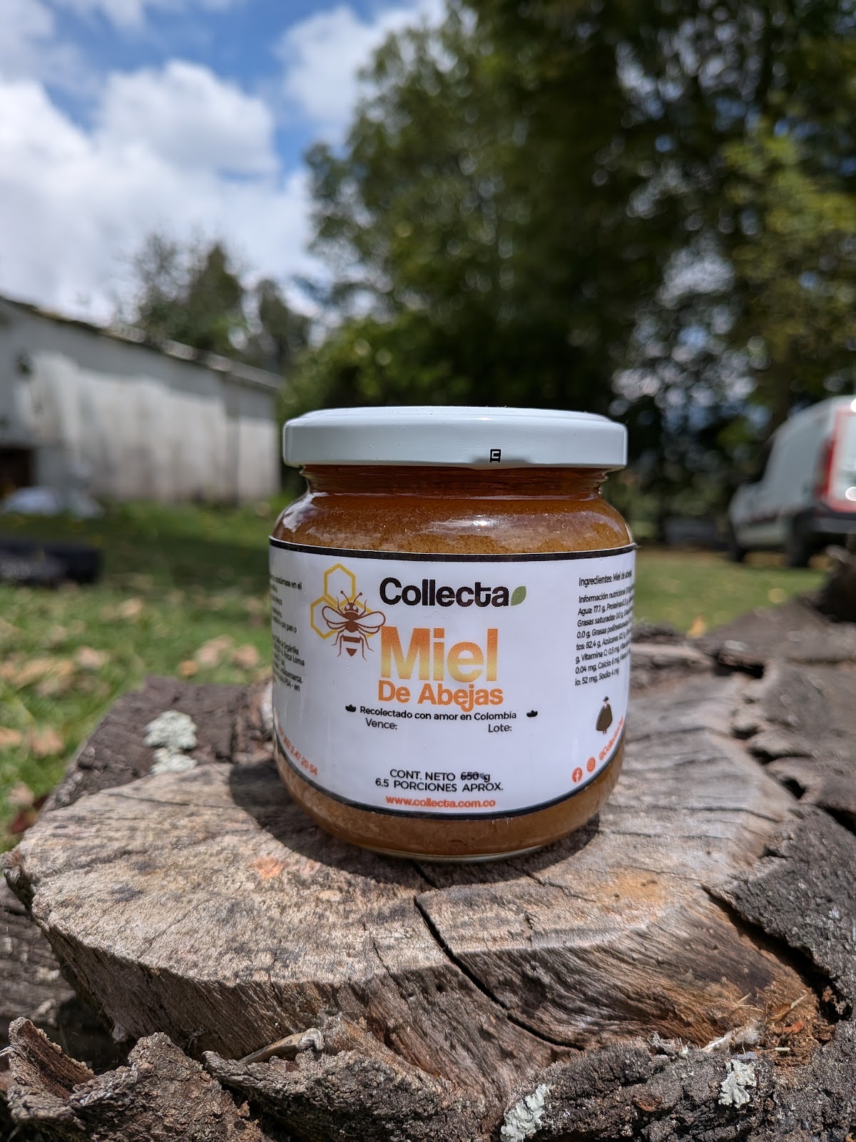 Comprar Miel orgánico