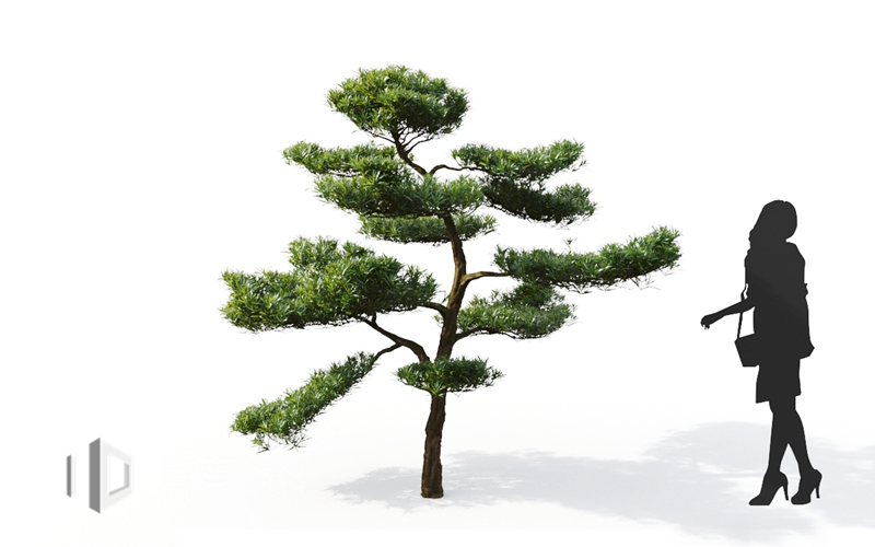 Maxtree - Plant Models Vol.9