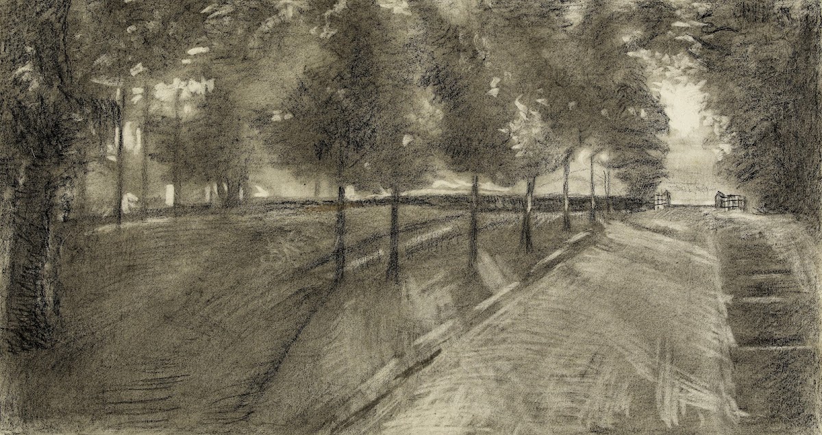 Allée bordée darbres dans un parc 1947