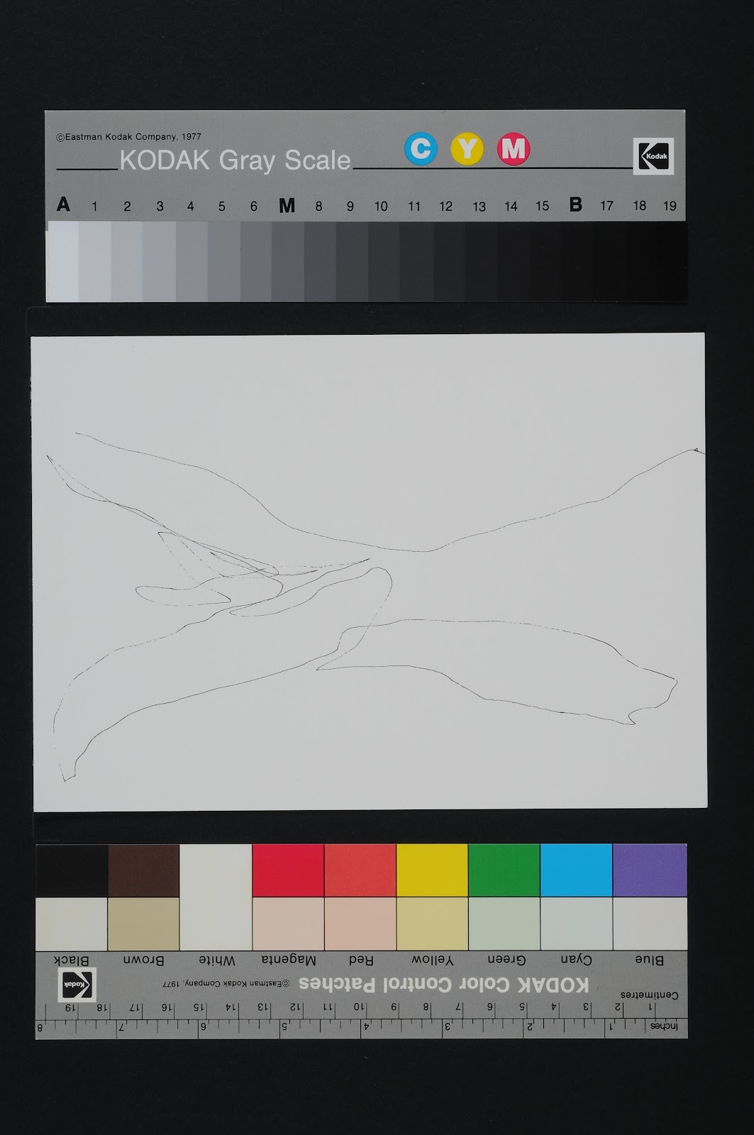 Drawn Poems