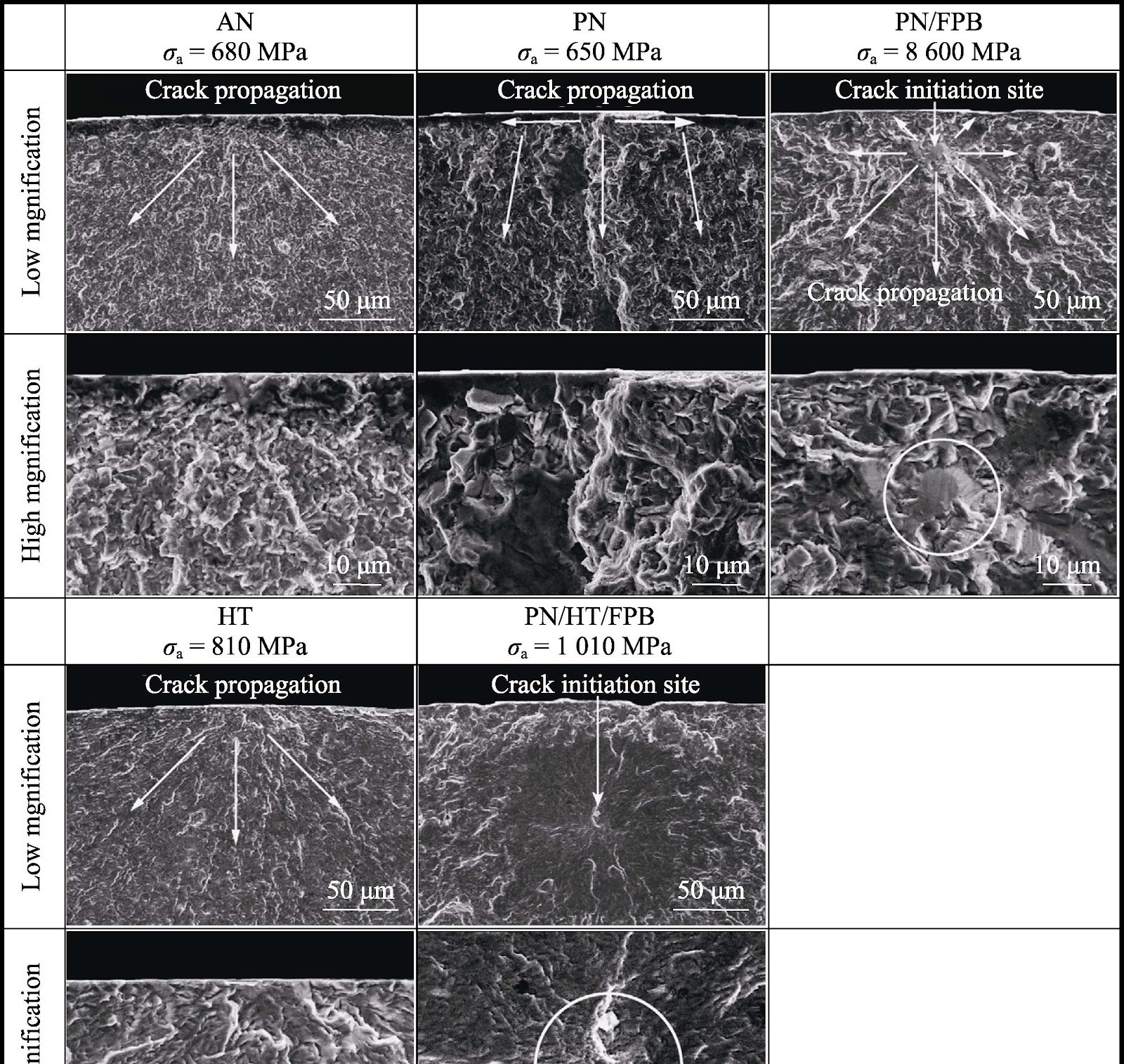 Progress in Fatigue Research of Nitrided Titanium Alloys