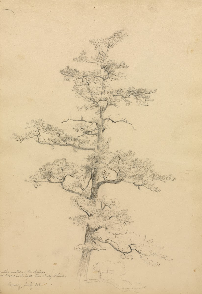Pine Tree Conway New Hampshire recto c 1851