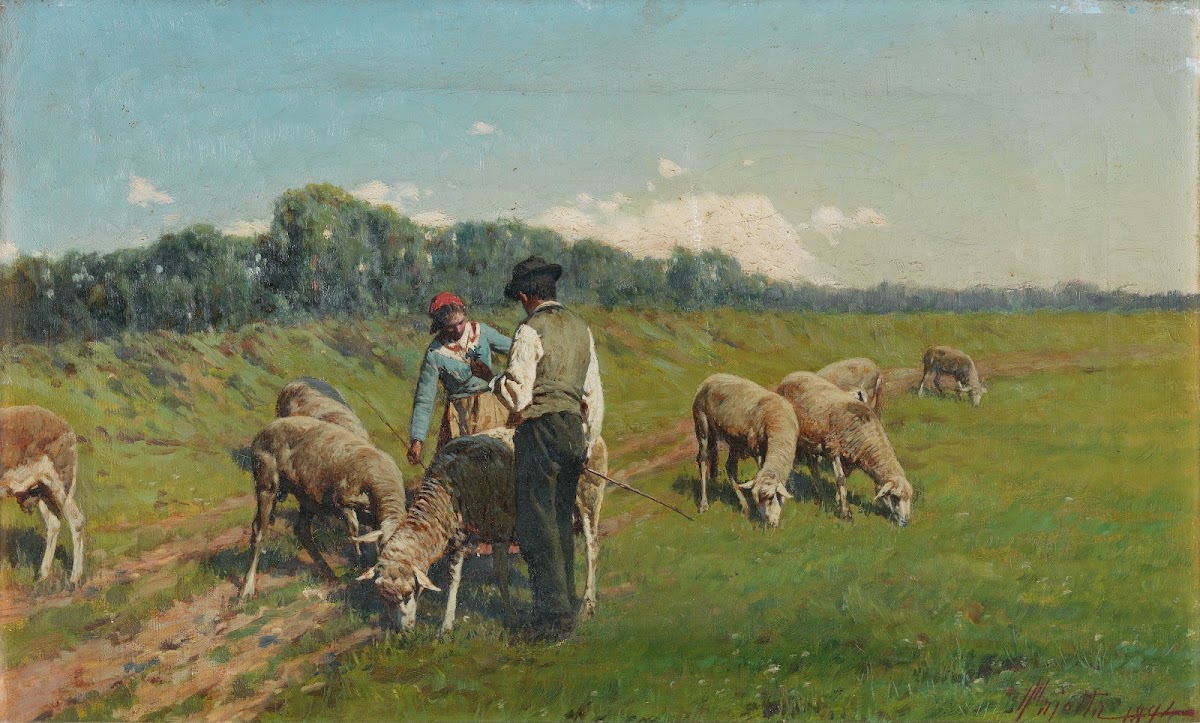 Tending the sheep