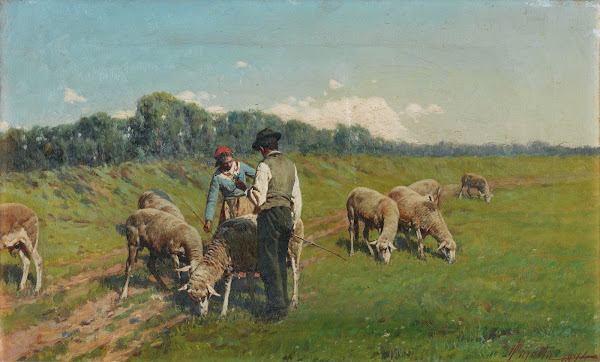 Tending the sheep