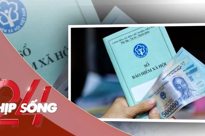 NHỊP SỐNG 24: Có được đóng đồng thời BHXH bắt buộc và tự nguyện để tăng lương hưu? - Báo Tiền Phong