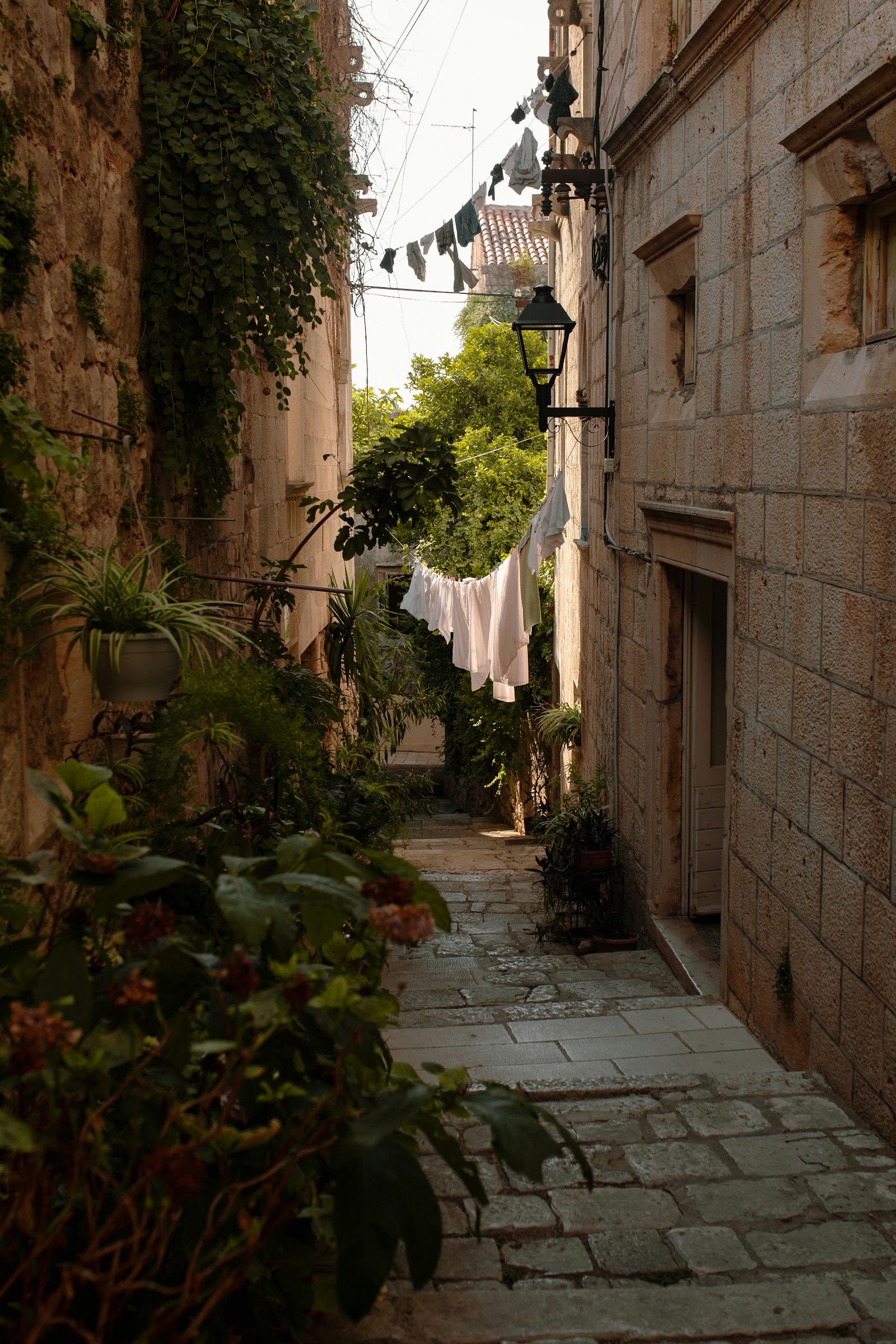 Dubrovnik to Korčula sea taxi