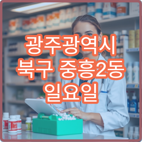 광주광역시 북구 중흥2동 일요일 당직 약국 해열제 판매