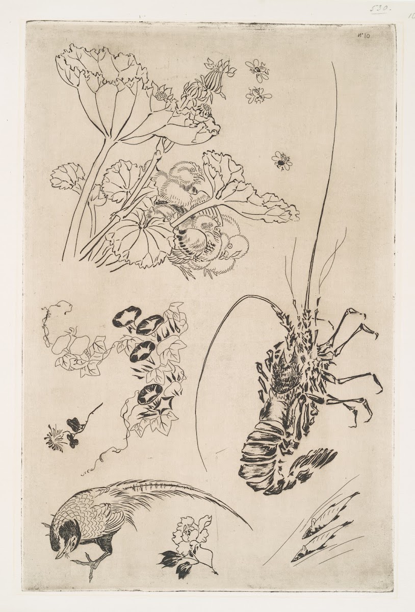 Langouste plantes avec oiseaux 1866
