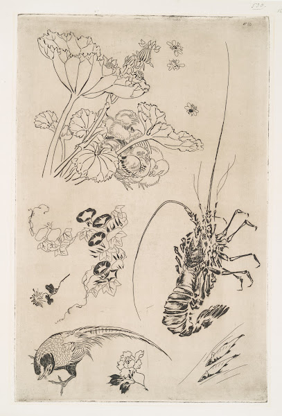 Langouste plantes avec oiseaux 1866