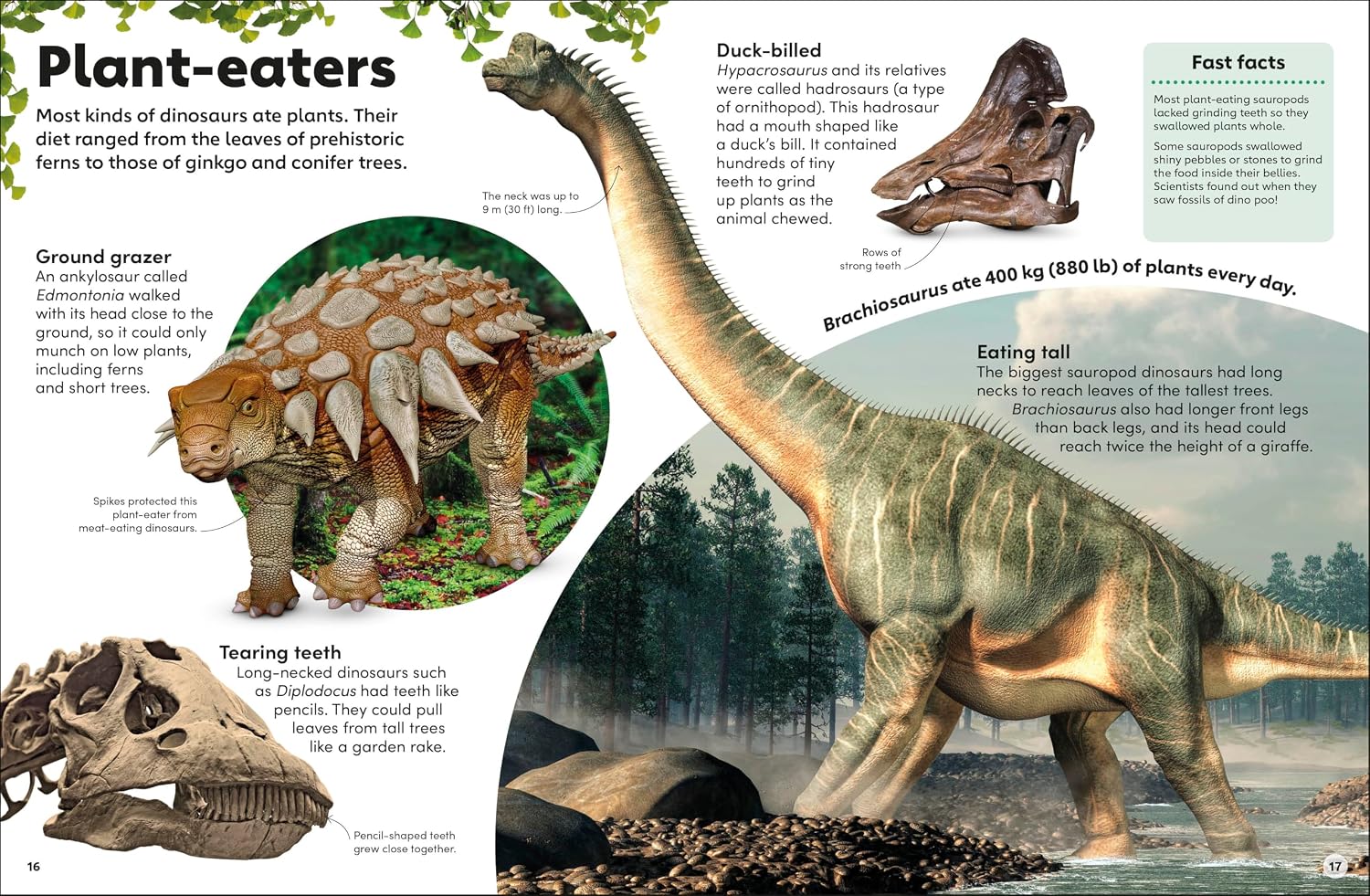Eyewonder Dinosaurs - thumbnail 2