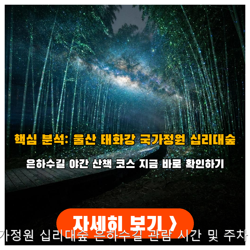 울산 태화강 은하수길 주차 및 시간 가이드