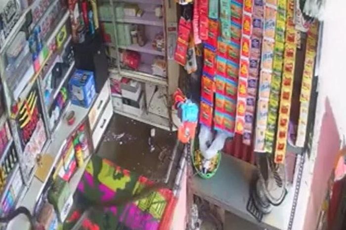 Rắn khủng truy đuổi chuột trong cửa hàng, thanh niên hoảng loạn bỏ chạy - Tạp chí Doanh Nghiệp Việt Nam