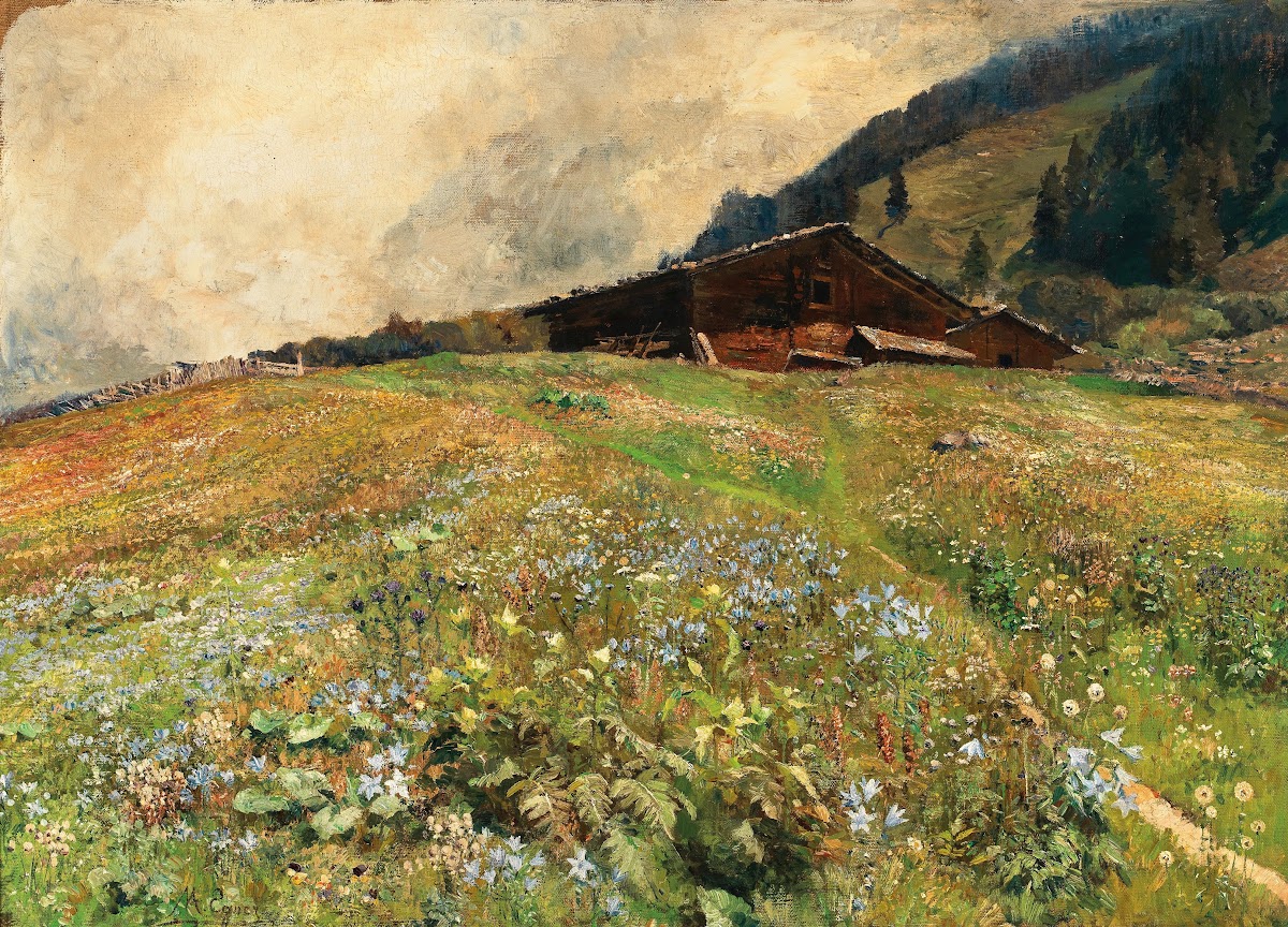 Tirol Alpenwiesen