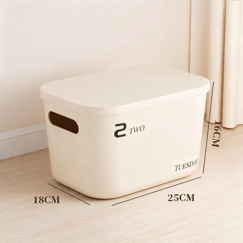 Plastic storage box with lid, medium size