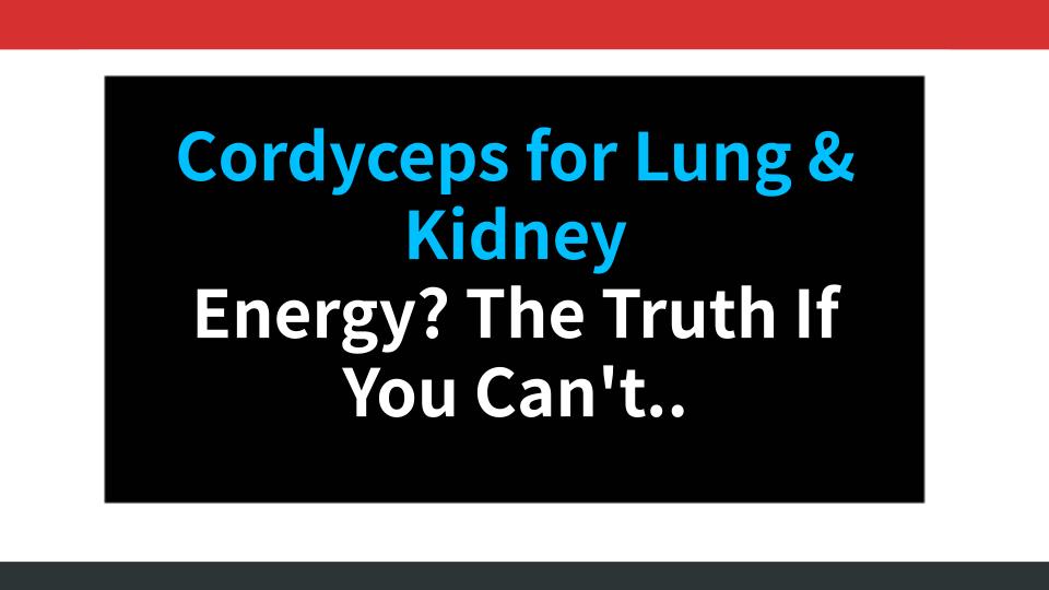 Cordyceps for Lung & Kidney Energy? The Truth If You Cant Breathe