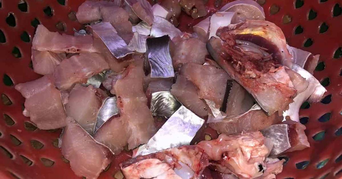 Cá Tra Tả Bí Lù