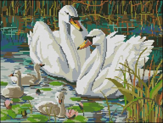 CMP 360068 Swans Family