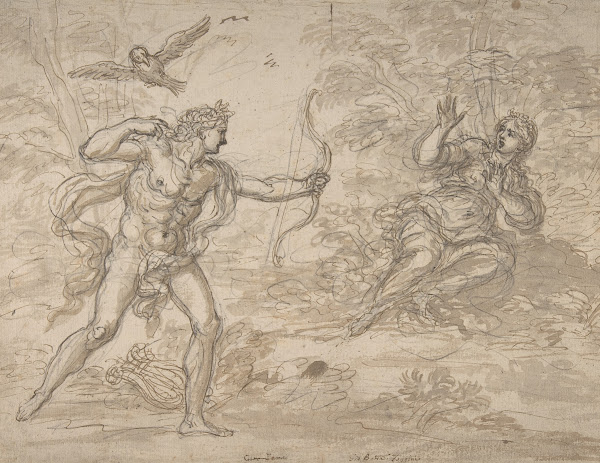 Apollo and Coronis 16521725