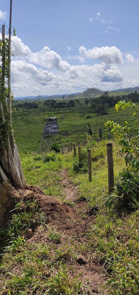 Fazenda em Ourilândia do Norte-PA 8