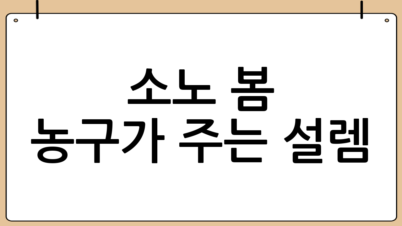 소노 봄 농구가 주는 설렘