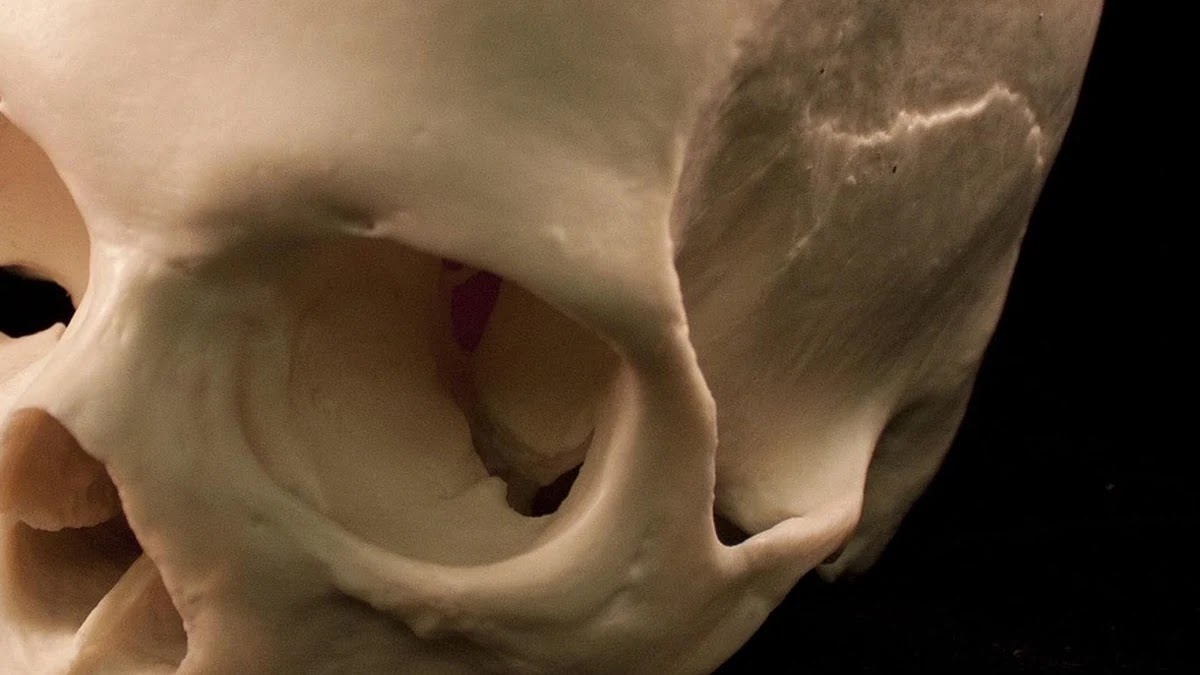 사회 제도의 상징과 권력 구조 인류학적 해석